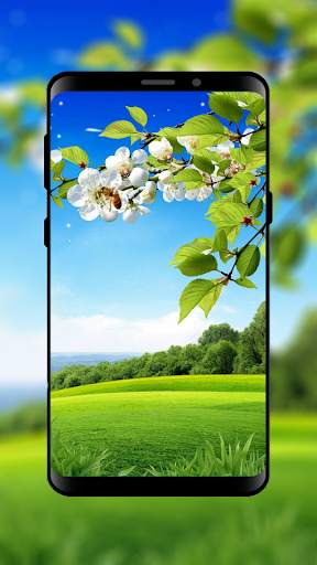 HD Wallpapers and Backgrounds screenshot 2