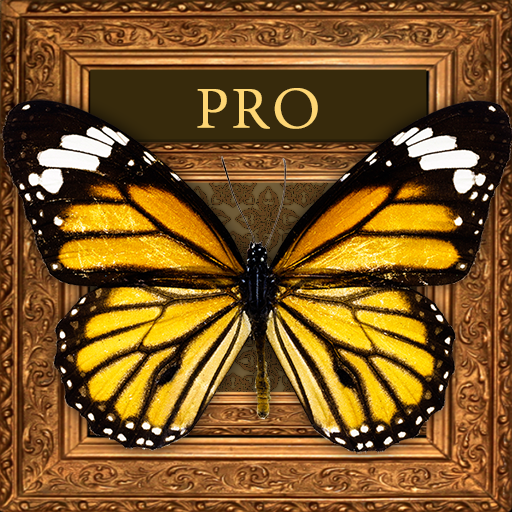 Frame Photo Collage icon