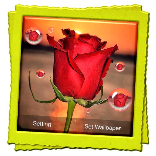 3D Rose Live Wallpaper 6.1