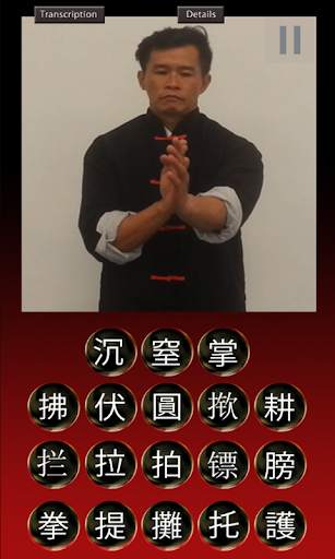 Wing Chun Hands screenshot 5