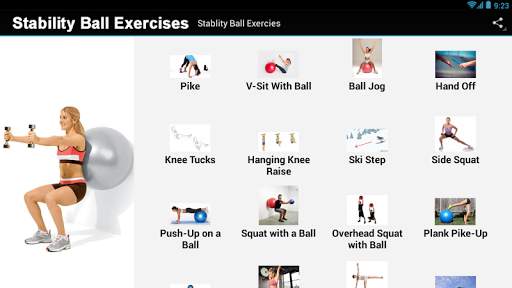 Stability Ball Exercises screenshot 4