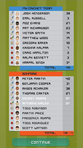 Village Cricket screenshot 4