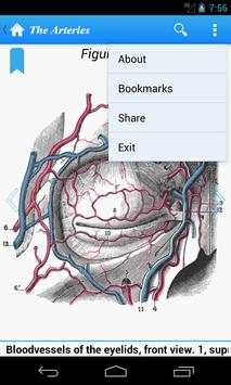 Gray's Anatomy Lite screenshot 2