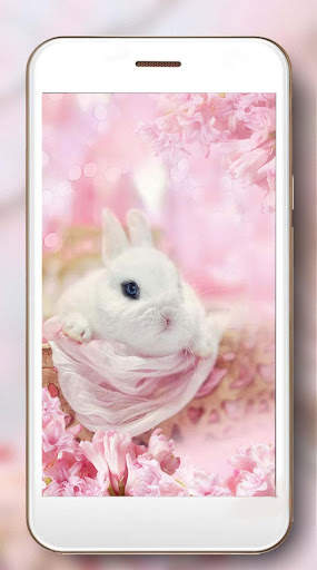 Bunnies Cute Live Wallpaper screenshot 6