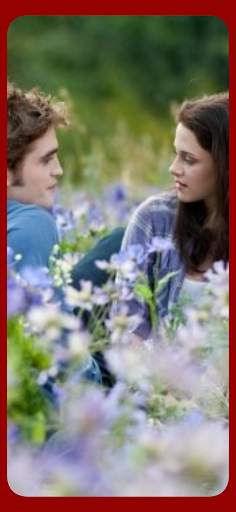 Twilight Wallpapers 2023 4K HD screenshot 1