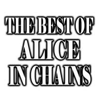 The Best Of Alice In Chains icon
