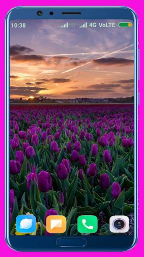 Tulips Flower Wallpaper Best 4K screenshot 16
