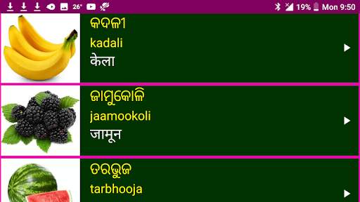 Learn Odia From Hindi скриншот 12