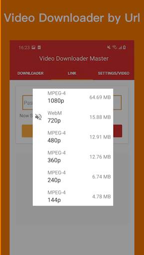 Video Downloader Master screenshot 2