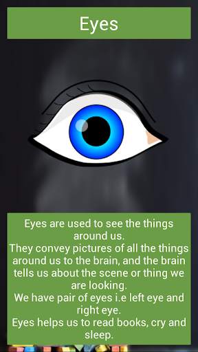Body Parts screenshot 8