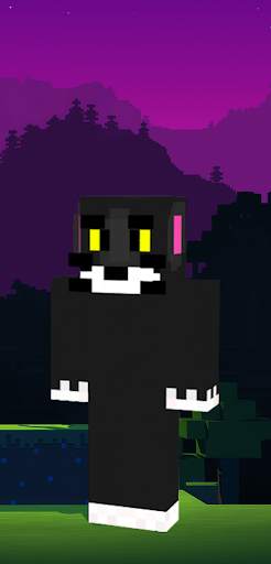 Tom Skins minecraft and Jerry screenshot 4