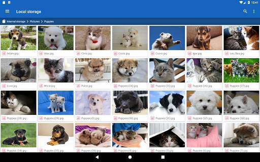 Egal File Manager screenshot 11
