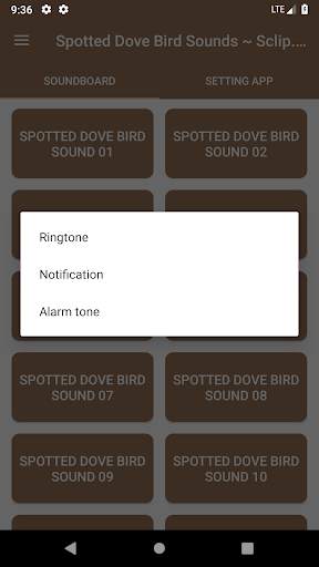 Spotted Dove Bird Sounds ~ Scl screenshot 2