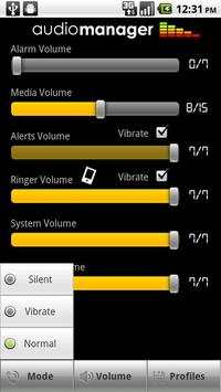 AudioManager Skin: Slidey screenshot 2