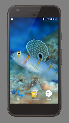 Sea Life Theme Video Wallpaper screenshot 1