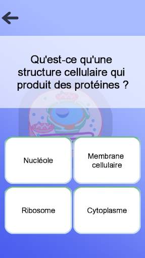 Anatomie screenshot 7