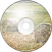 Bird-song Sounds and Ringtones 1.0