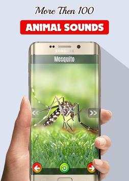Animals and Birds Sounds screenshot 3
