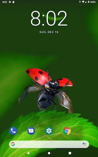 Bugs Life 3D Free - 3D Live Wallpaper screenshot 8