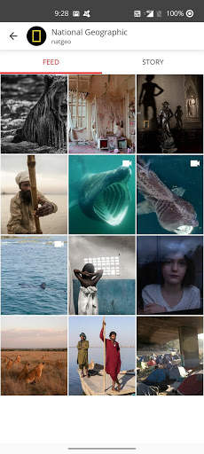 Story Saver for Instagram screenshot 8
