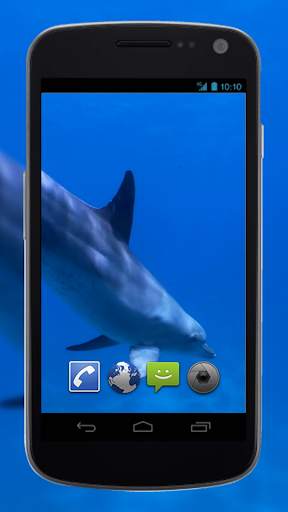 4K Dolphins Video Live Wallpaper screenshot 3