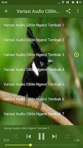 Tembakan Cililin Gacor Offline screenshot 5