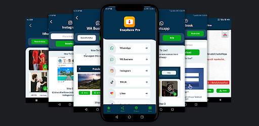 SnapSave Pro - Save all Social Status in a Snap скриншот 1