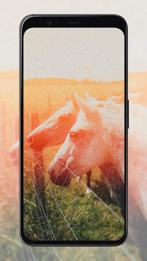 Vintage Wallpapers screenshot 7