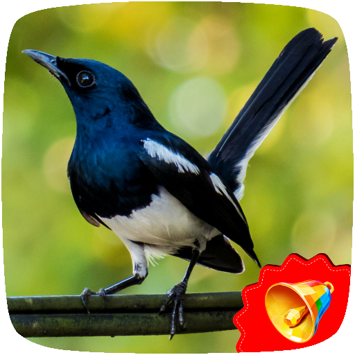 Kacer Birds Sounds आइकन