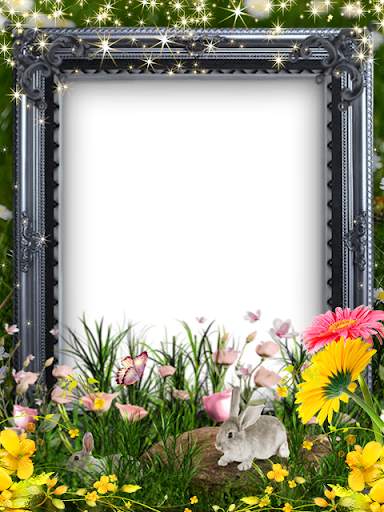 Flower Photo Frames, Lovely Flower Frame screenshot 3