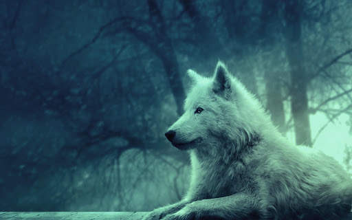 Animal Wallpapers App 🐈🐅🐎 : Animal Background screenshot 19