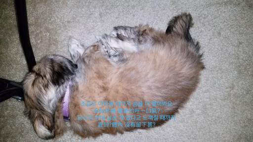 SRT Media Player screenshot 4