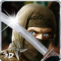 Ninja Savaşçı Katil 3D
