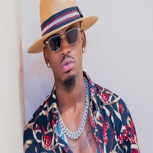 Diamond Platnumz All Songs -Offline icon