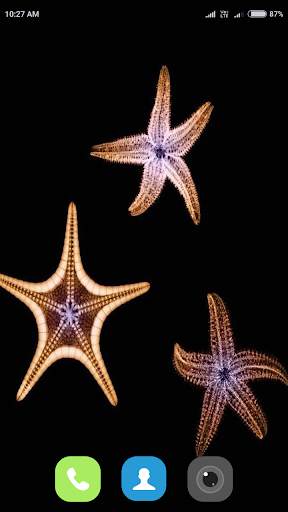 Starfish Wallpaper 4K screenshot 15