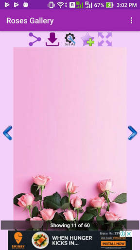 Roses Gallery screenshot 4