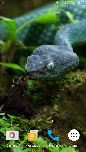 Snake Live Wallpaper screenshot 2