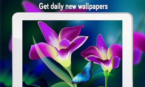 Flower Wallpaper (4k) screenshot 10