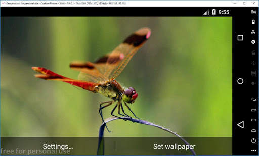 Ladybug 3D Live Wallpaper 17 تصوير الشاشة