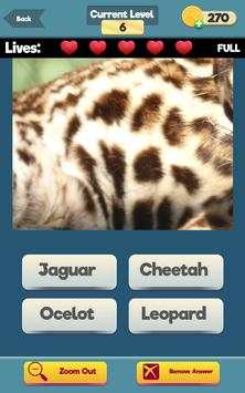 Zoom Trivia - Animals Edition screenshot 7
