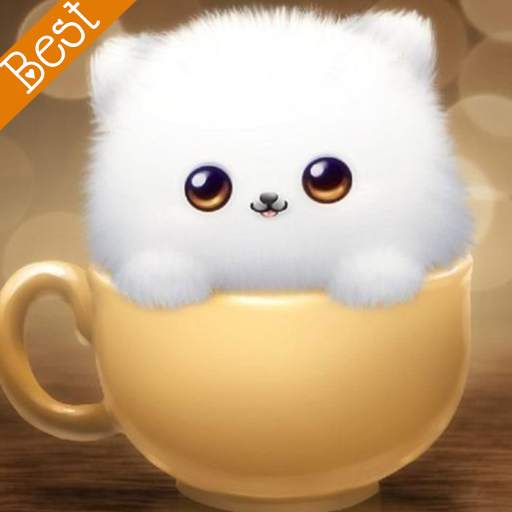 Best Dp and Status 2.3