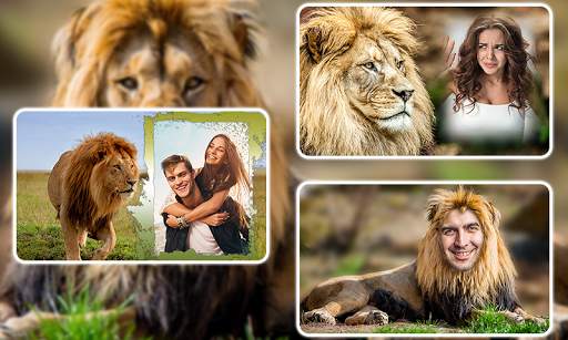 Lion Photo Frames screenshot 1
