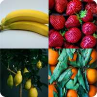 Guess the Fruit - World Fruit logo