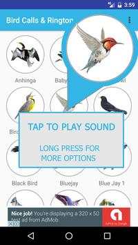 Bird Sounds & Ringtones screenshot 5