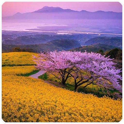 Jigsaw Puzzle World-Free Puzzles 2.0