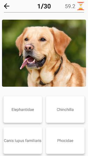 Mamíferos - ¡Aprende todos los animales en Quiz! screenshot 7