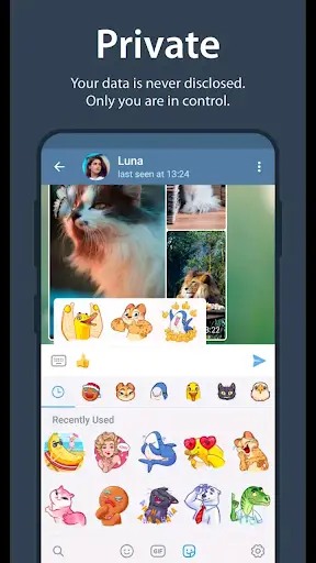 Messenger screenshot 3