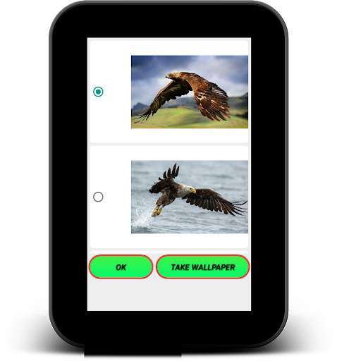 Eagle Live Wallpaper - Screen Lock, Sensor, Auto screenshot 9
