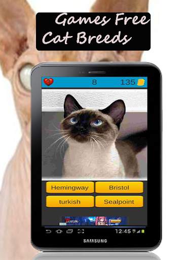 Cat Breeds: Cat Games screenshot 8