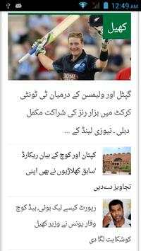 Daily Pakistan screenshot 4